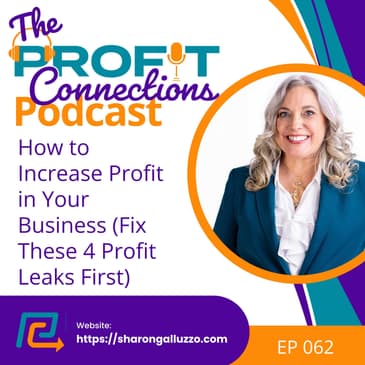 How to Increase Profit in Your Business (Fix These 4 Profit Leaks First) | 062