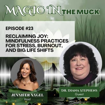 Reclaiming Joy: Mindfulness Practices for Stress, Burnout, and Big Life Shifts with Dr. Diana Stephens