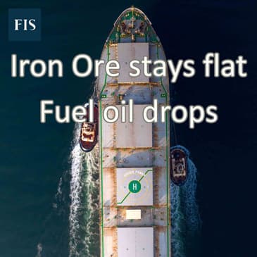 Iron Ore Stays Flat - Fuel Oil Drops: Mid-July Analysis