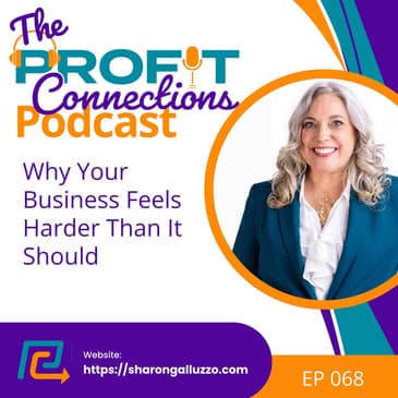 Why Your Business Feels Harder Than It Should | 068