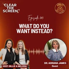 S1E043 What Do You Want Instead?