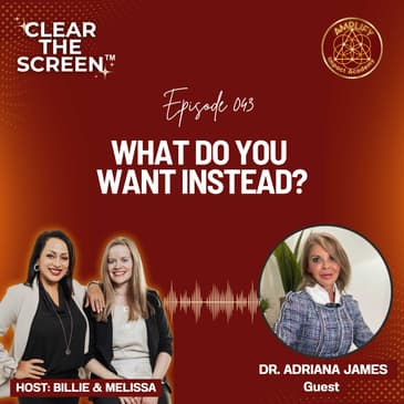 S1E043 What Do You Want Instead?
