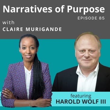 On Harnessing Information and Technology for Health Equity - HIMSS Europe Series with Hal Wolf