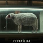 Alien: Earth S1E7 "Emergence"