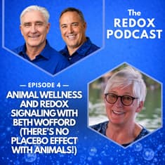 Animal Wellness and Redox Signaling with Beth Wofford (There’s no placebo effect with animals!) | 004