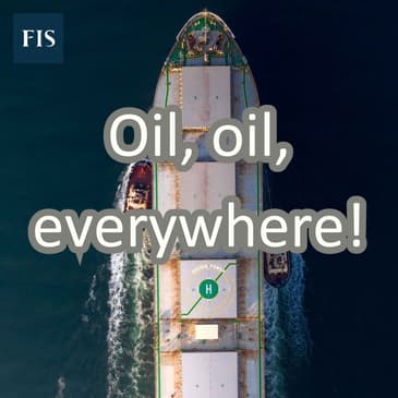 US Energy Insights with our American Experts