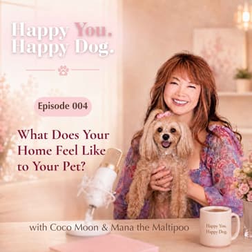 What Does Your Home Feel Like to Your Pet?