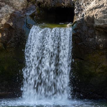 41. Lessons from the Desert: Trusting a Faithful God (Exodus 15-18)