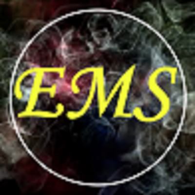 The Earnest Mann Show