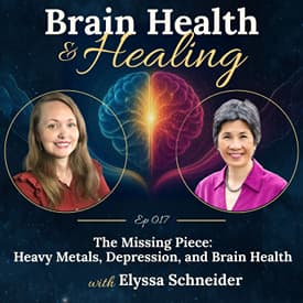 The Missing Piece: Heavy Metals, Depression, and Brain Health with Elyssa Schneider