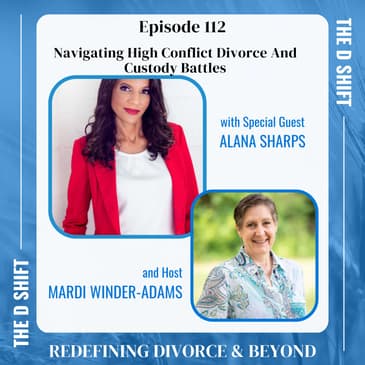 Navigating High Conflict Divorce And Custody Battles