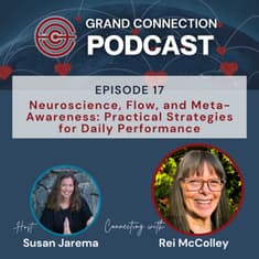 Neuroscience, Flow, and Meta-Awareness: Practical Strategies for Daily Performance with Rei McColley | 017