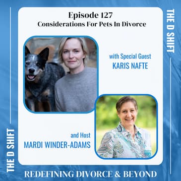 Considerations For Pets During Divorce