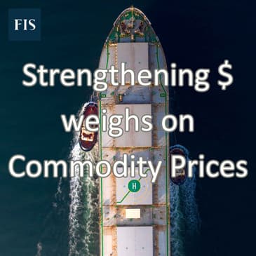Strengthening US dollar weighs on Commodity Prices