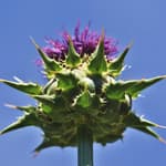 45. When We Go Our Own Way: Running from the Faithful God