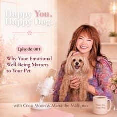 Why Your Emotional Well-Being Matters to Your Pet