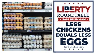 Less Chickens Equals Less Eggs!