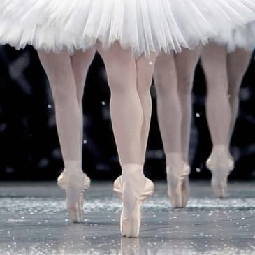 303: La Danse: The Paris Opera Ballet