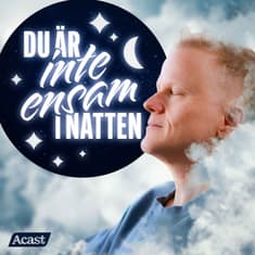 Du är inte ensam i natten - del 8