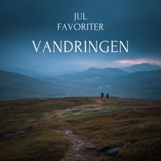 JULFAVORITER: Vandringen