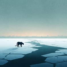 Boötes Bok del 2 - En spricka i skärmen