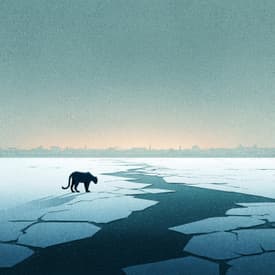 Boötes Bok del 2 - En spricka i skärmen