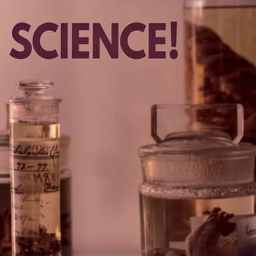 SCIENCE! 1/3 - Head First