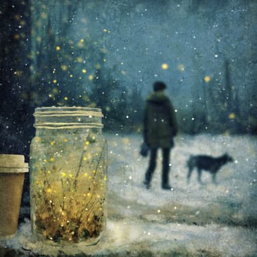 Before Morning Decides