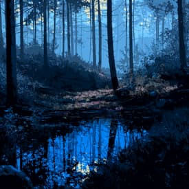 The Forest in the Blue