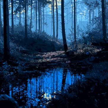 The Forest in the Blue