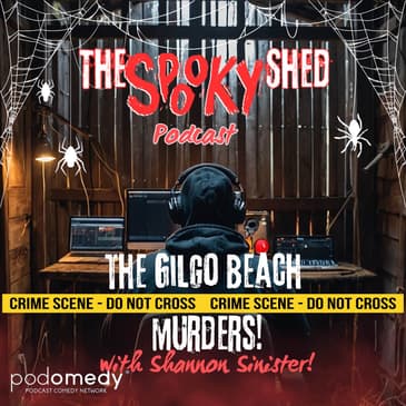 The Gilgo Beach Murders! Ep.91