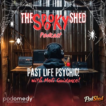 Past Life Psychic! Meli Guidance!