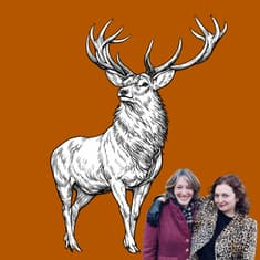 The Monarch of the Glen: The Surprisingly Passionate Tale of Landseer's Emblematic Masterpiece