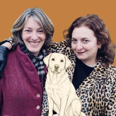 Labrador Retrievers: Did the British Invent the Perfect Dog?