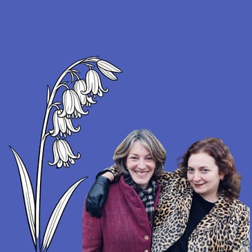 Bluebells: Why does this enchanting native blue flower make the British giddy?
