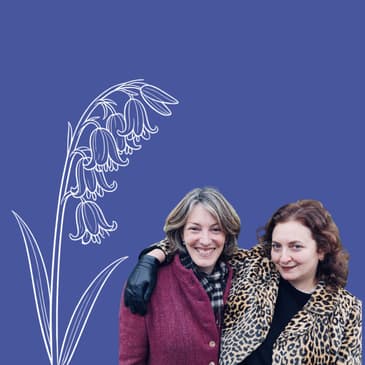Bluebells: Why does this enchanting native blue flower make the British giddy?