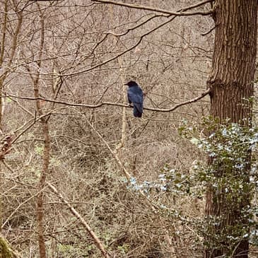 You Take the High Road