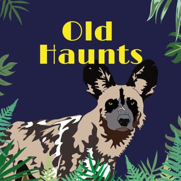 Old Haunts