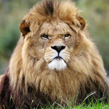 T1_Ep2 No se trata de ti