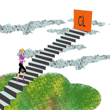 LT-024: Una Herramienta Que Levanta El Rendimiento