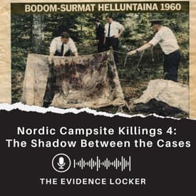 Nordic Campsite Killings 4: The Shadow Between the Cases