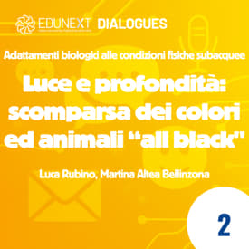 [02] Luce e profondità: scomparsa dei colori ed animali “all black"