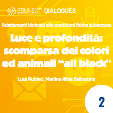 [02] Luce e profondità: scomparsa dei colori ed animali “all black"