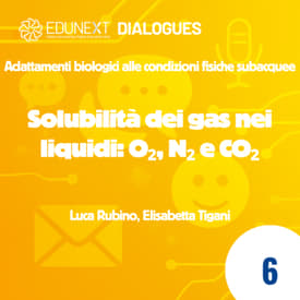 [06] Solubilità dei gas nei liquidi: O₂, N₂ e CO₂
