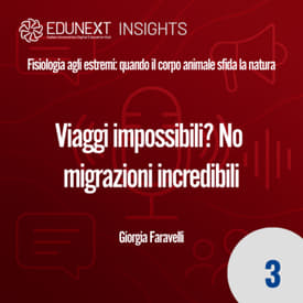 [03] Viaggi impossibili? No migrazioni incredibili