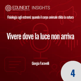 [04] Vivere dove la luce non arriva
