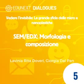 [05] SEM/EDX: Morfologia e composizione