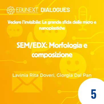 [05] SEM/EDX: Morfologia e composizione