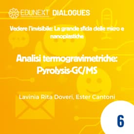 [06] Analisi termogravimetriche: Pyrolysis-GC/MS