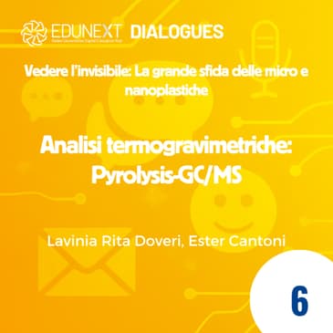 [06] Analisi termogravimetriche: Pyrolysis-GC/MS